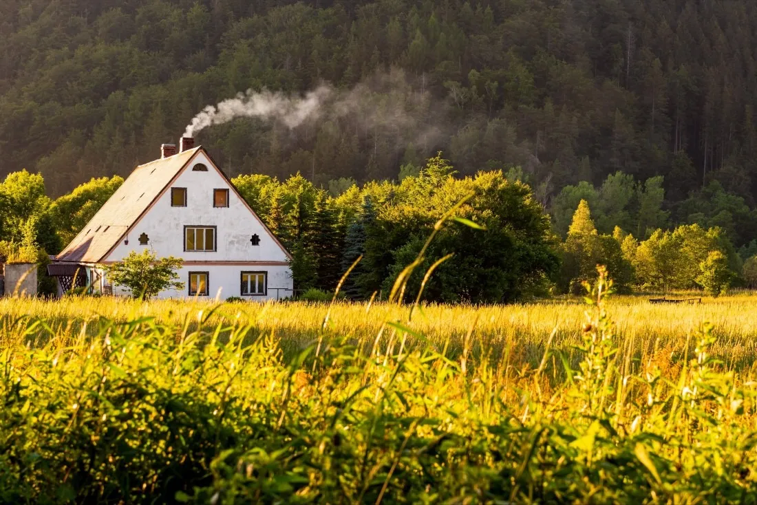 Zdjęcie Ile można zarobić na agroturystyce? Zaskakujące fakty i liczby