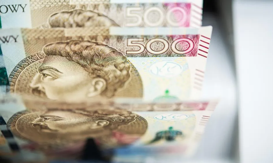 Zdjęcie Kiedy NBP interweniuje na rynku walutowym: poznaj wszystkie kryteria