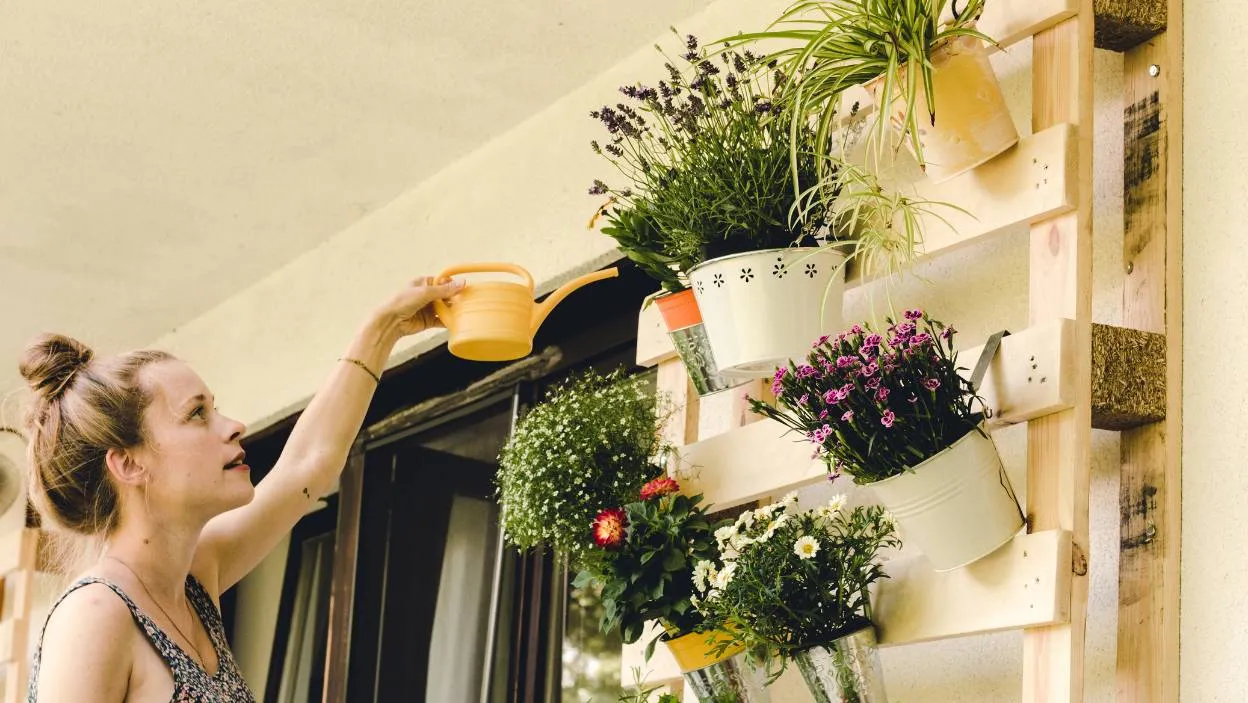 Zdjęcie Jakie kwiaty do kwietnika z palet? Odkryj idealne rośliny na balkon