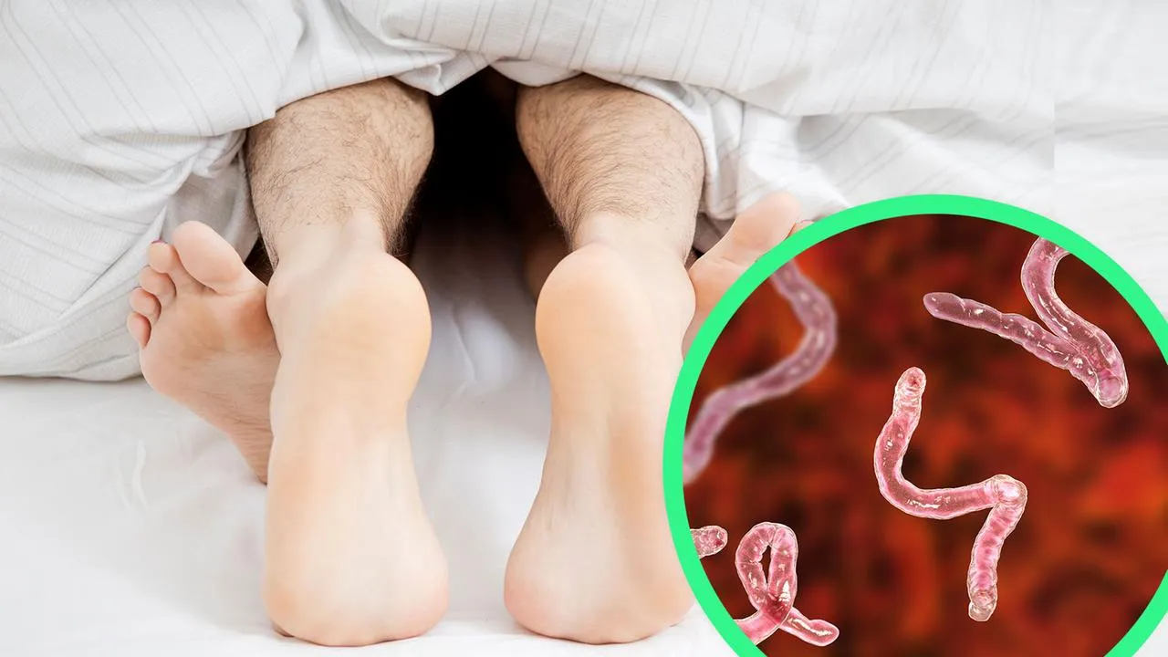 Zdjęcie Madenwürmer Symptome: So erkennen Sie die Anzeichen rechtzeitig