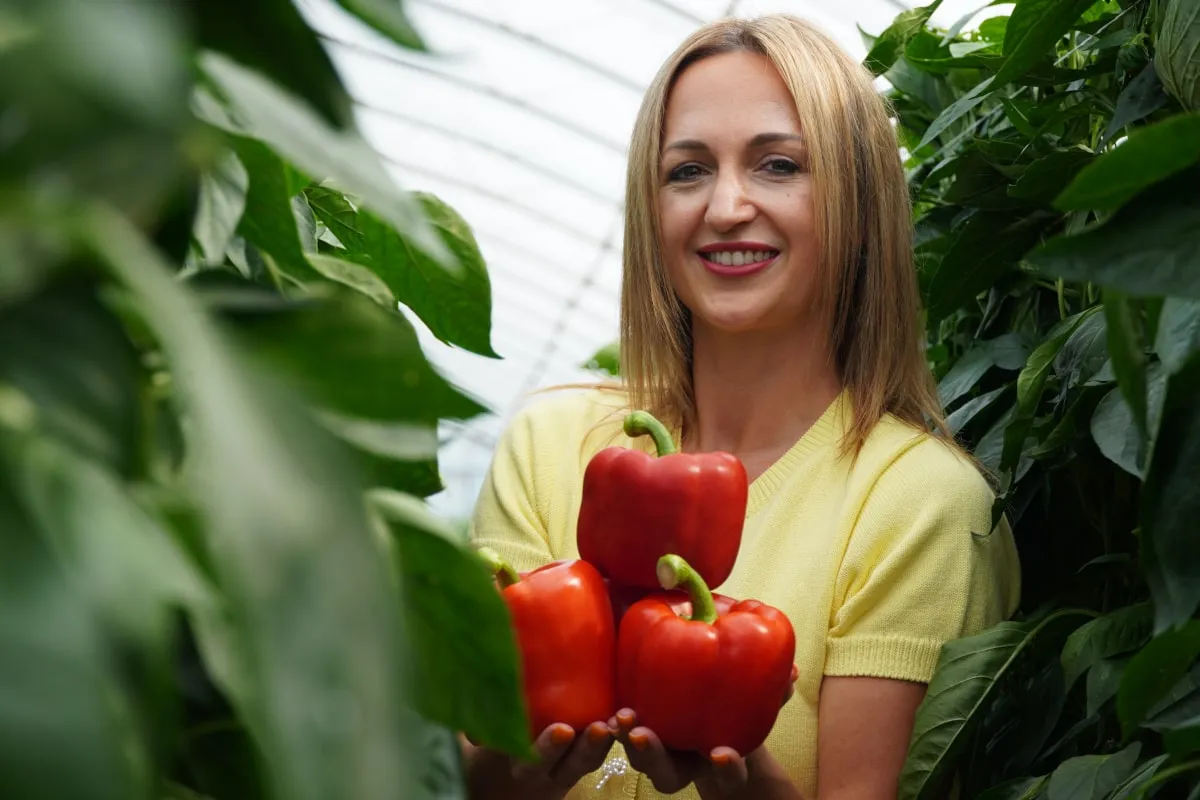 Zdjęcie Jak uprawiać paprykę w tunelu – uniknij najczęstszych błędów