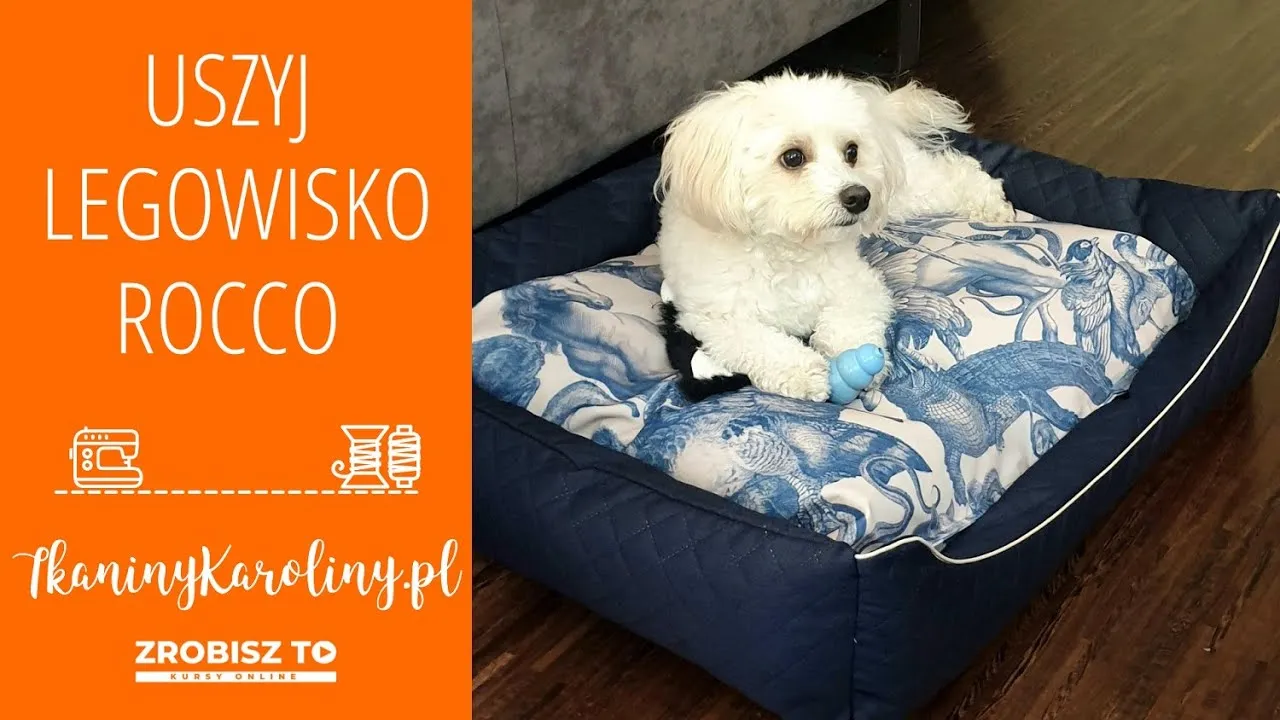 Zdjęcie Jak uszyć legowisko dla psa – proste kroki i sprawdzone porady