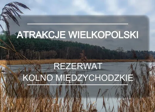 Zdjęcie Najlepsze atrakcje w Międzychodzie, które zaskoczą każdego turystę