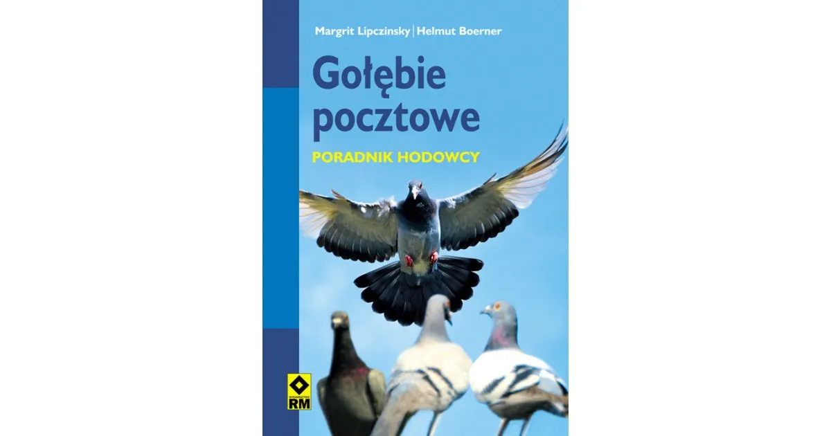 Zdjęcie Skuteczne tresowanie gołębi: kompletny poradnik dla początkujących hodowców
