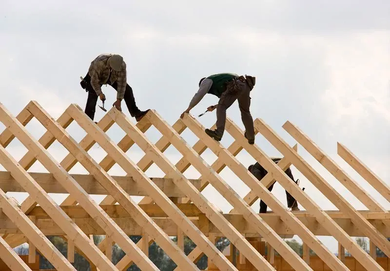 Zdjęcie Ile kosztuje drzewo na dach 200m²? Ceny i co musisz wiedzieć
