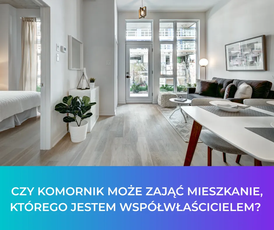 Zdjęcie Czy komornik może sprzedać połowę mieszkania? Prawa współwłaścicieli