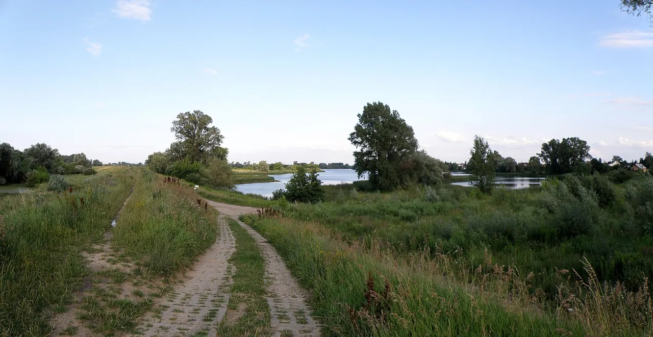 Zdjęcie Jezioro Dziekanowskie: tajemnice wypoczynku blisko Warszawy