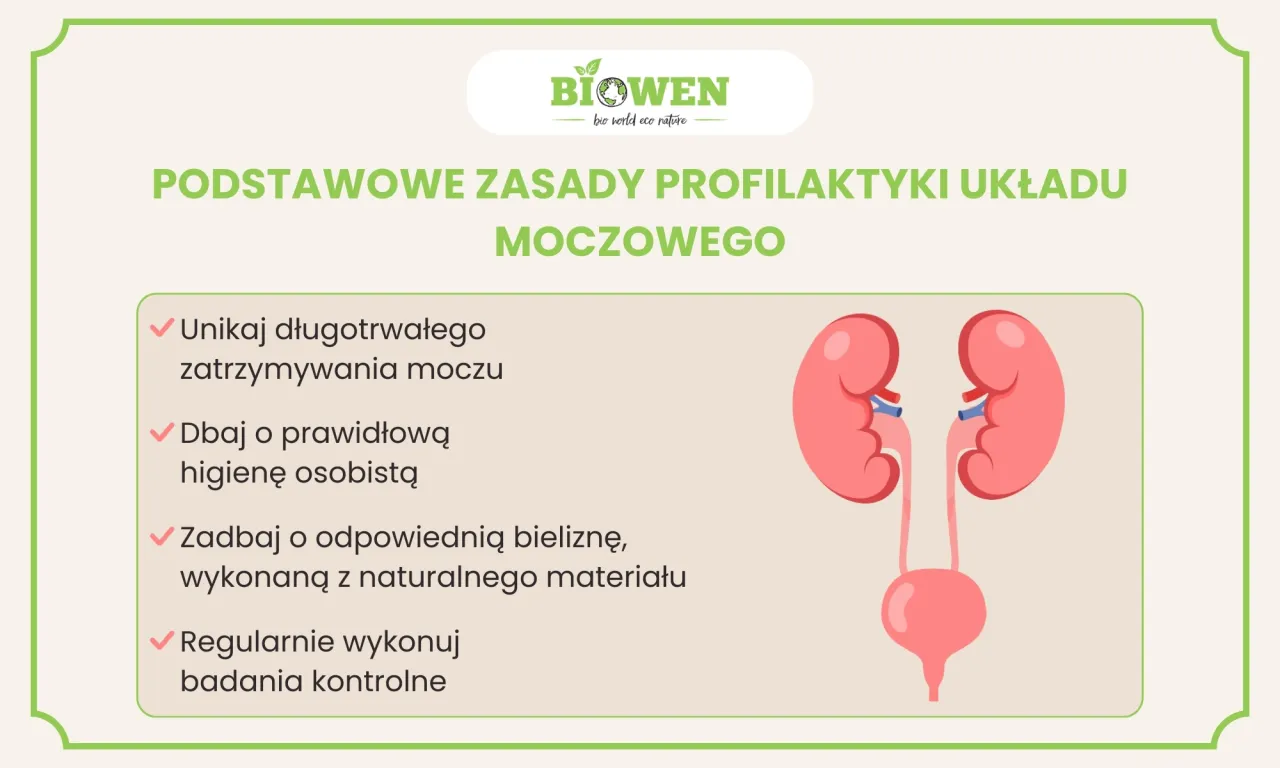 Zdjęcie Najskuteczniejsze herbaty na nerki - poznaj 7 ziół na zdrowy układ moczowy