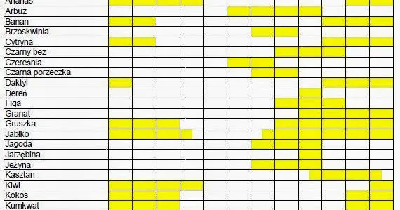 Zdjęcie Kiedy sezon na melony? Sprawdź, kiedy najlepiej kupić świeże melony