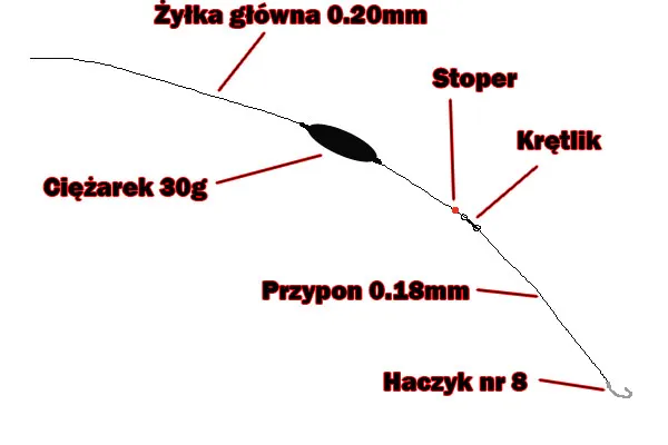 Zdjęcie Jak zrobić wędkę na koszyk - proste kroki do udanego łowienia