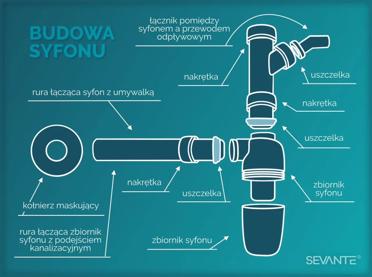 Zdjęcie Jak działa syfon samoczyszczący do wanny i dlaczego warto go mieć?