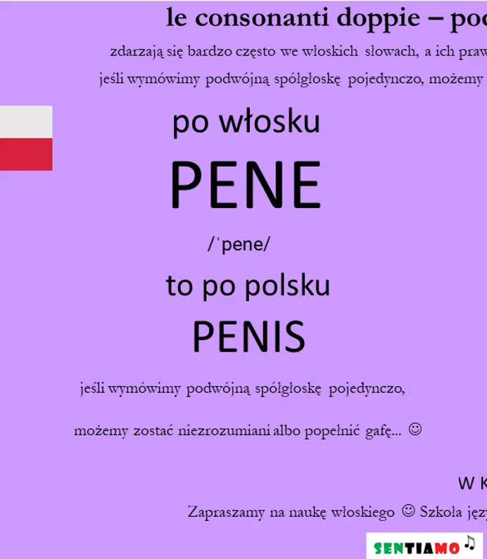 Zdjęcie Penne po włosku: Proste przepisy na pyszne dania z makaronem