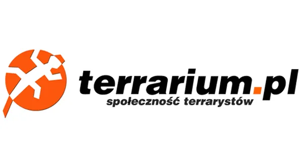 Zdjęcie Hybryda czy lustrzanka - który aparat lepiej spełni Twoje oczekiwania?