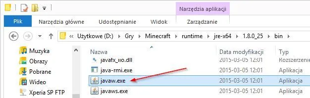 Zdjęcie Jak pobrać Minecrafta bez Javy i cieszyć się grą bez problemów