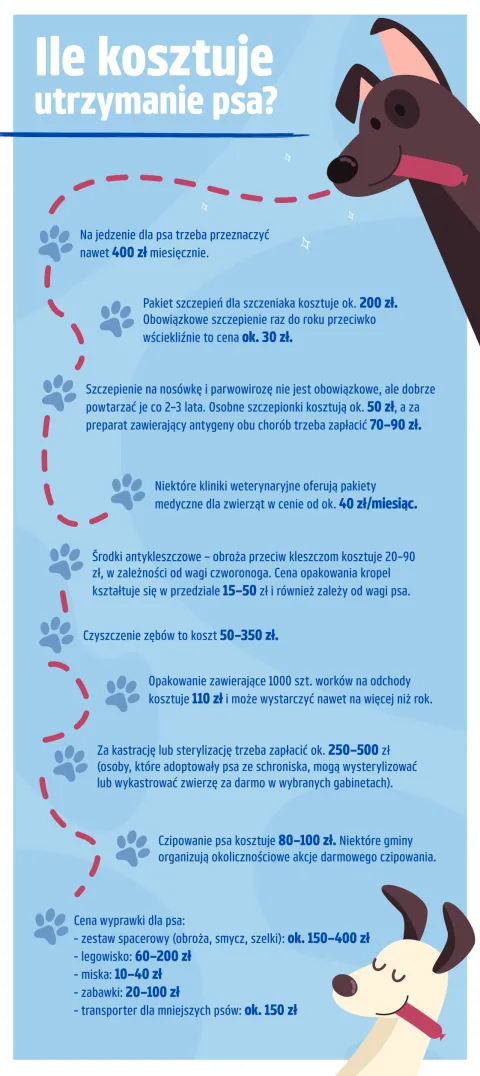 Zdjęcie Ile kosztuje karma Głupi Jaś dla psa? Sprawdź ceny i opinie teraz!