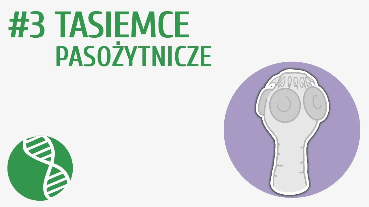 Zdjęcie Jak rozmnażają się tasiemce? Zaskakujące fakty o ich reprodukcji