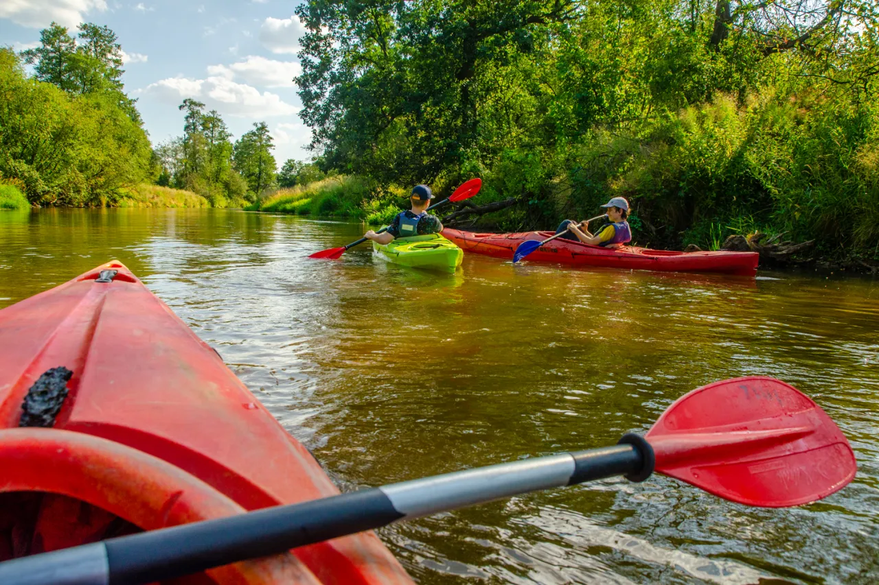 Zdjęcie Spływ kajakowy Małą Panwią: Tw&oacute;j przewodnik po "Opolskiej Amazonce"