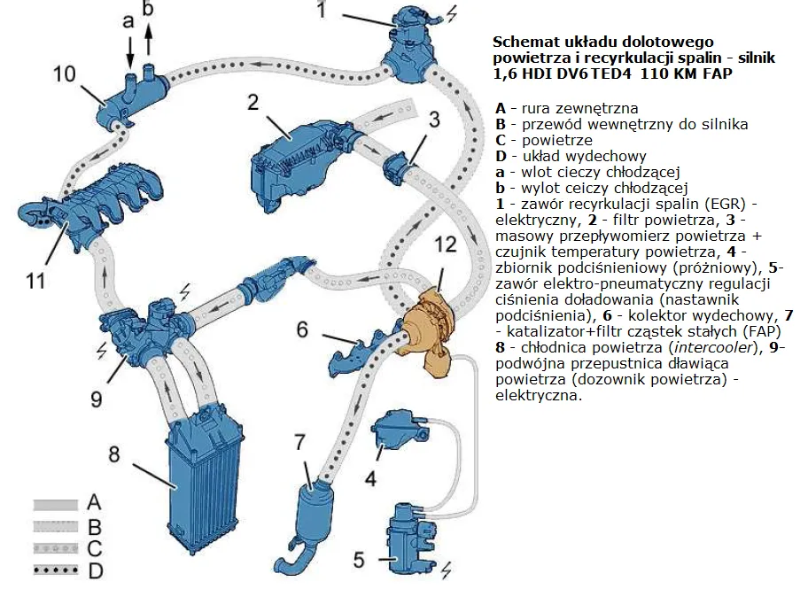 Zdjęcie Gdzie jest czujnik temperatury silnika peugeot 307 2.0 hdi i jak go znaleźć?