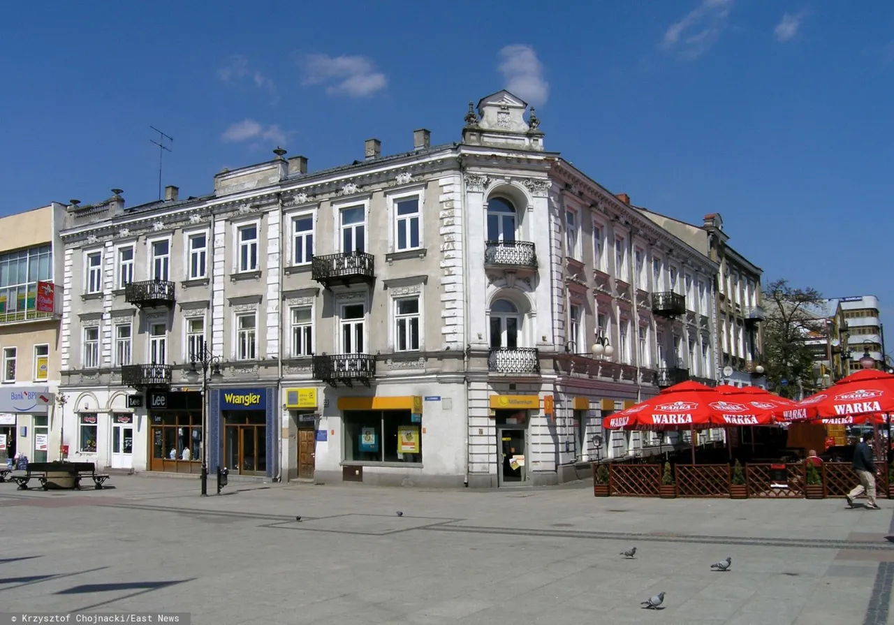 Zdjęcie Ile jest mieszkańców w Radomiu? Zaskakujące dane o ludności!