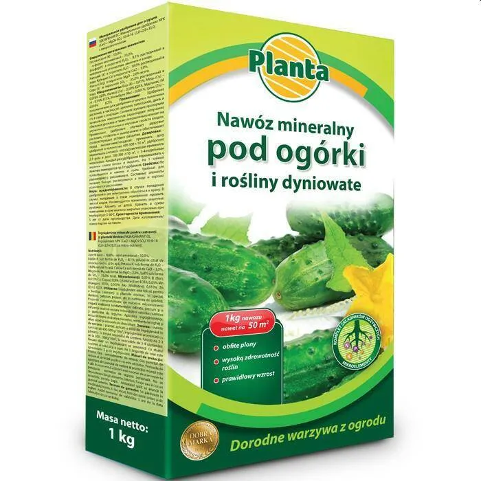 Zdjęcie Najlepszy nawóz pod ogórki, aby uzyskać obfite plony i zdrowe rośliny