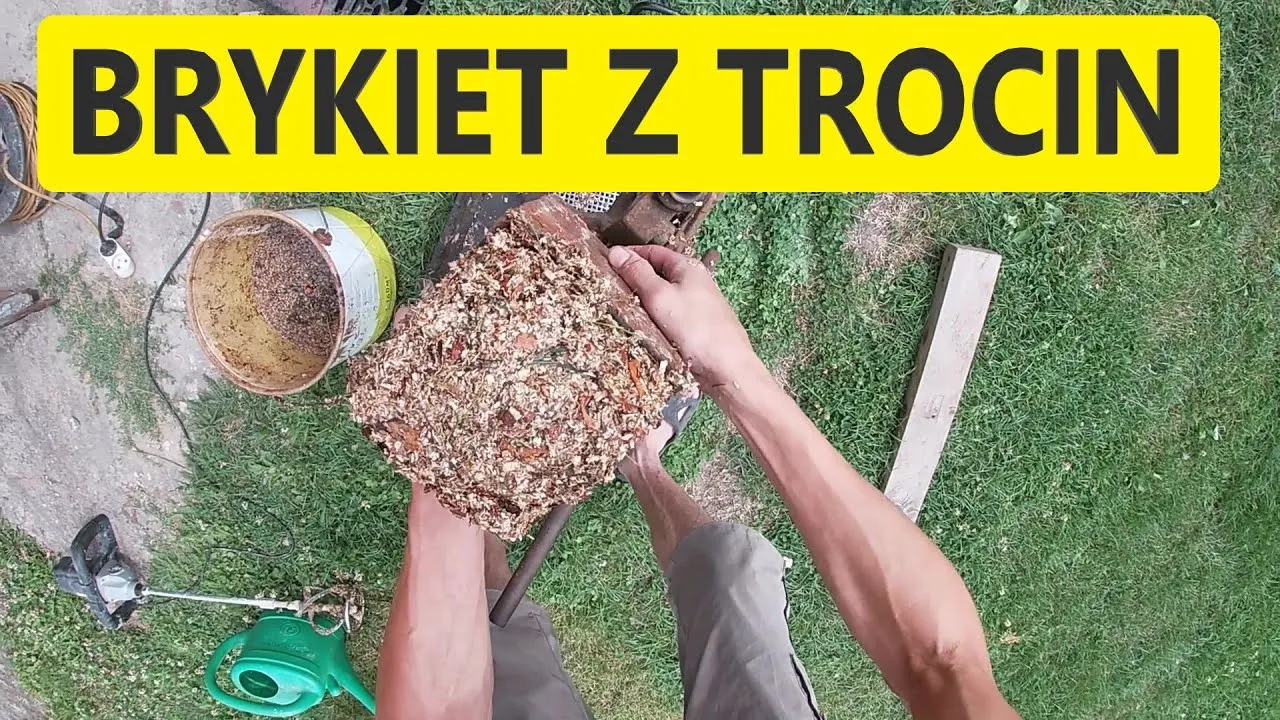 Zdjęcie Jak zrobić brykiet z trocin - proste kroki, by uniknąć marnotrawstwa