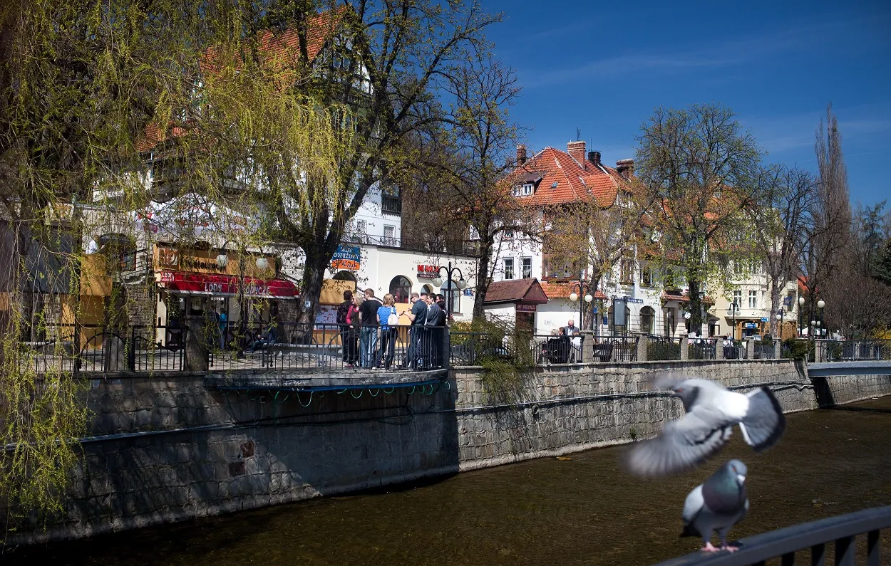 Zdjęcie Gdzie zjeść w Polanicy-Zdroju? Najlepsze restauracje, które musisz znać