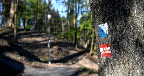 Zdjęcie Czy szlaki turystyczne są otwarte? Sprawdź aktualny stan i zasady