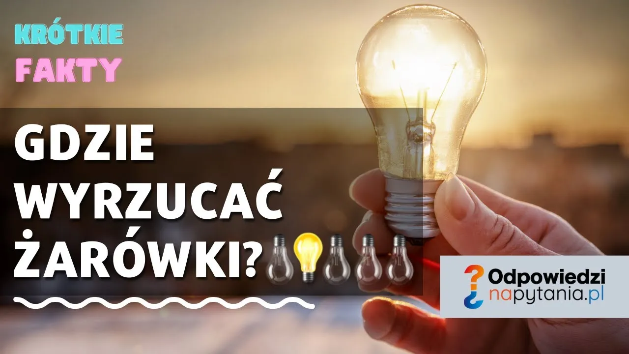 Zdjęcie Gdzie wyrzucić żarówki LED? Unikaj błędów w ich utylizacji
