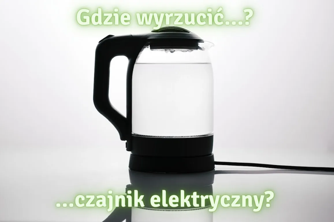 Zdjęcie Gdzie wyrzucić ceratę? Sprawdź, jak uniknąć problemów z utylizacją