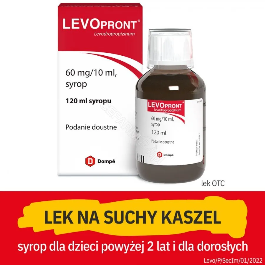 Zdjęcie Jaki syrop na kaszel dla psa? Bezpieczne opcje i ostrzeżenia