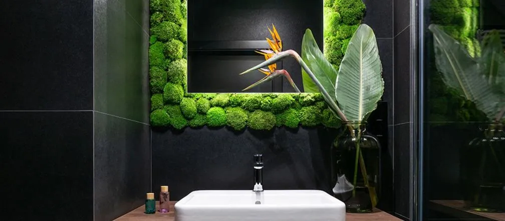 Zdjęcie Jakie rośliny do łazienki bez okna sprawdzą się najlepiej: top 8 gatunków