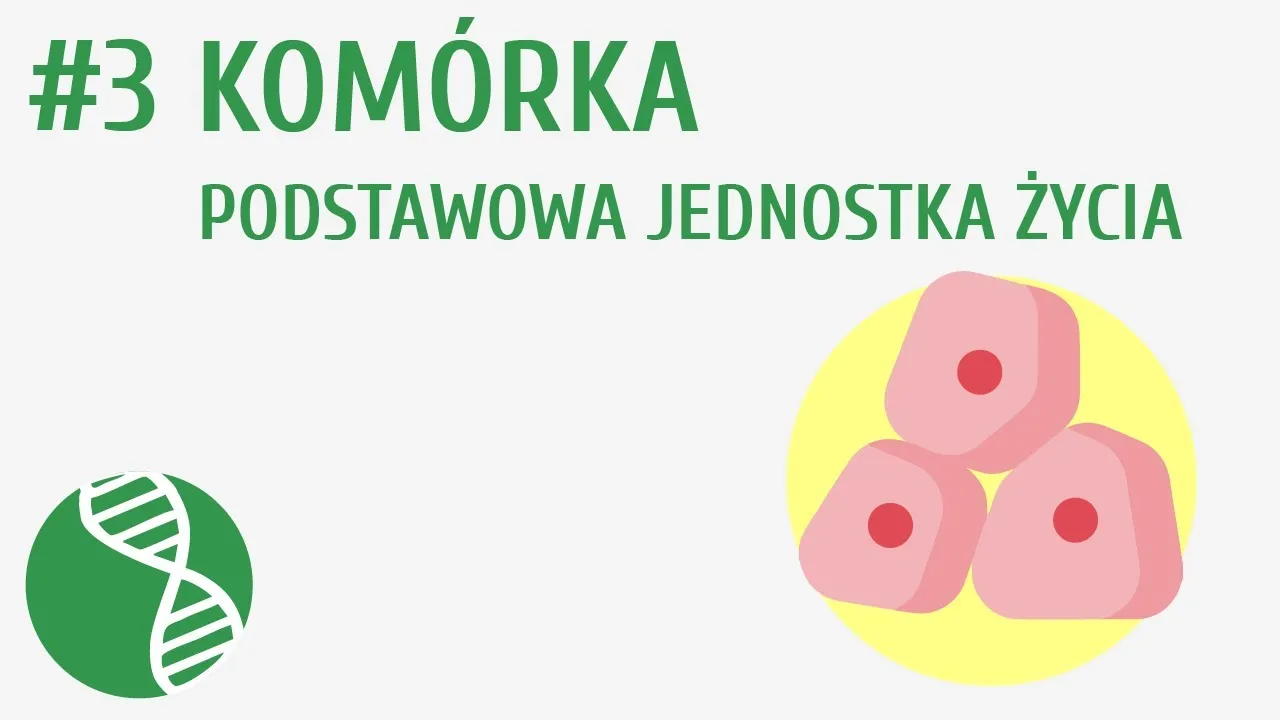 Zdjęcie Co to jest komórka w biologii? Kluczowe informacje i funkcje