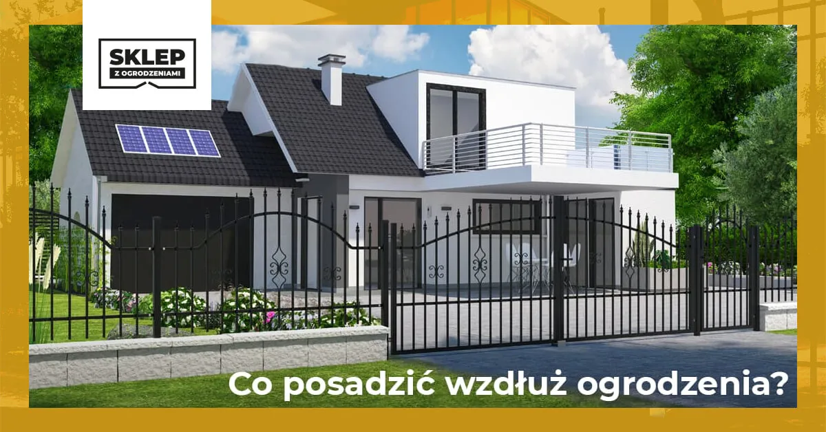Zdjęcie Co posadzić przy płocie, aby stworzyć piękny i prywatny ogród?