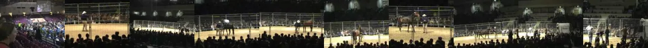 Zdjęcie Torwar jeździectwo: CAVALIADA i emocjonujące zawody jeździeckie