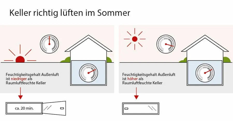 Zdjęcie Keller im Sommer richtig lüften: So vermeiden Sie Schimmelbildung
