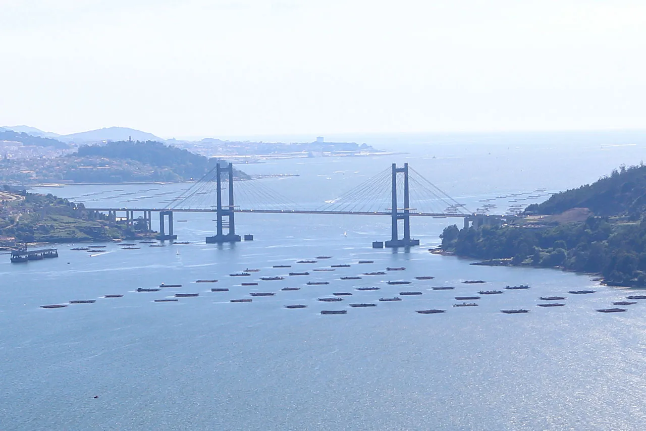 Zdjęcie Barco mejillones Vigo: disfruta de una experiencia única en la ría