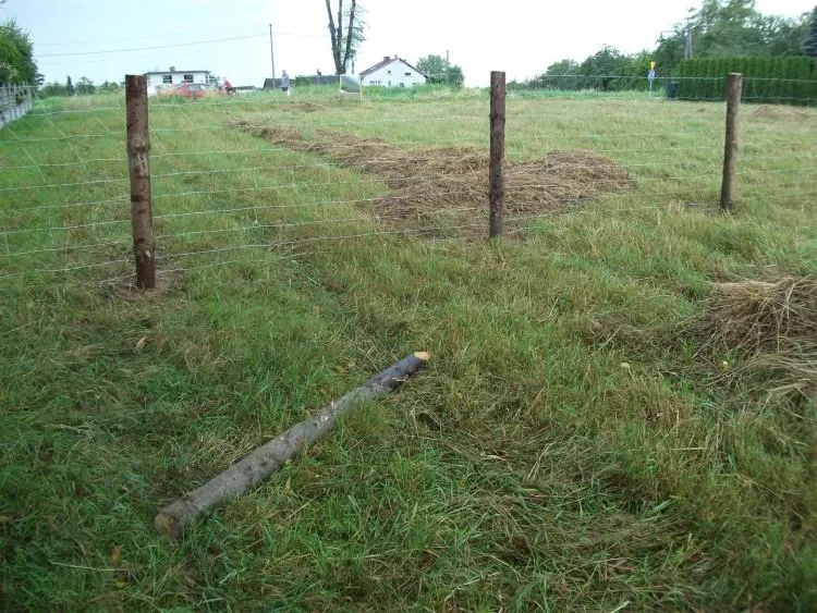 Zdjęcie Jak zrobić tani płot - proste sposoby na oszczędne ogrodzenie