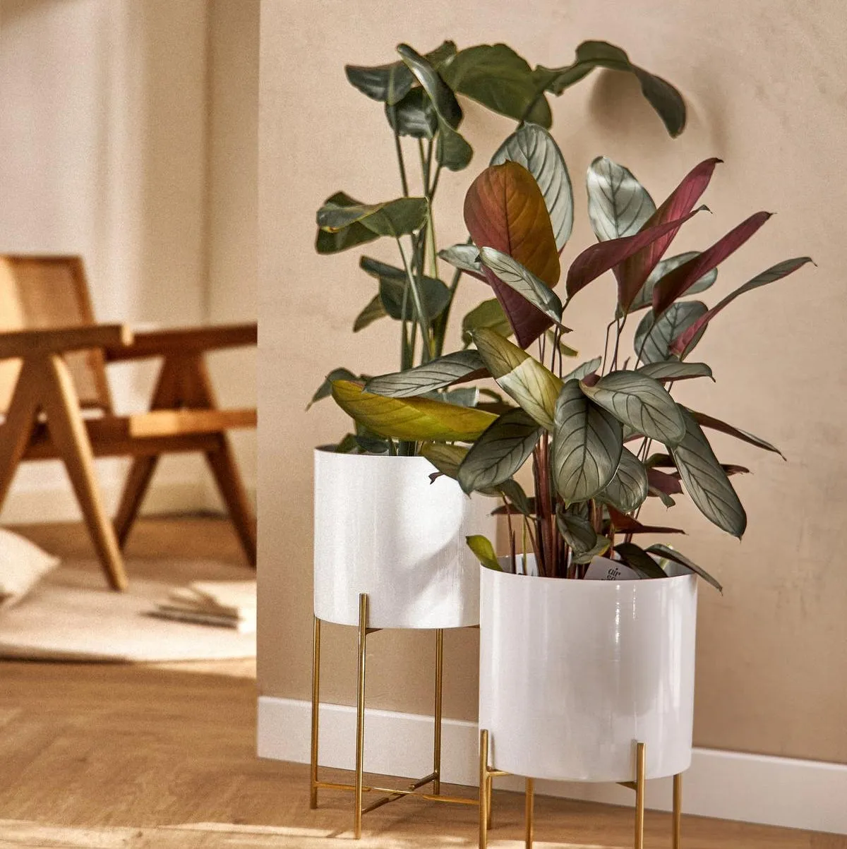 Zdjęcie Las mejores macetas con soporte para embellecer tu hogar