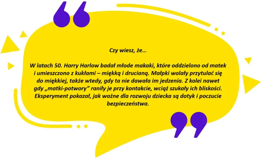 Zdjęcie Książki które zmieniają życie - odkryj, jak zmienić swoje myślenie