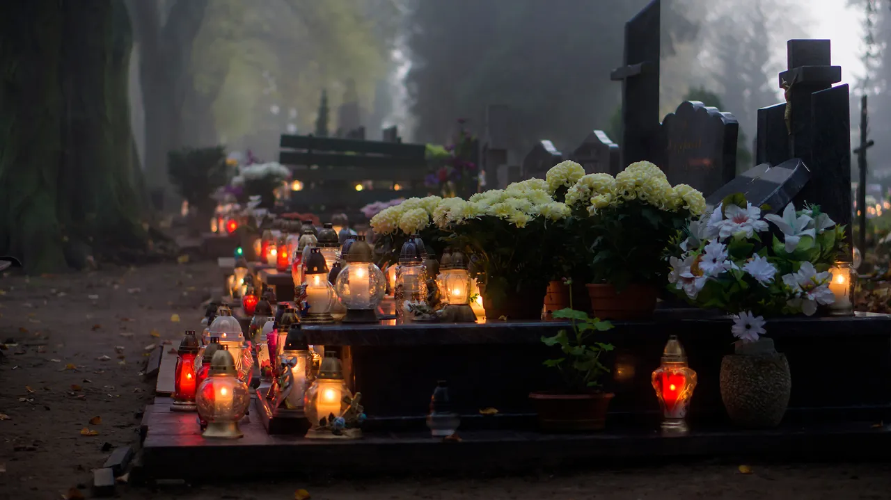 Zdjęcie Czy można zabierać kwiaty z cmentarza? Odkryj zasady i przesądy
