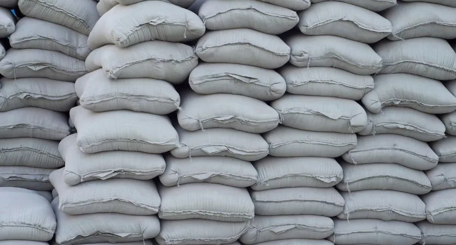 Zdjęcie Ile kosztuje cement w Castoramie? Ceny cementu i porady zakupowe