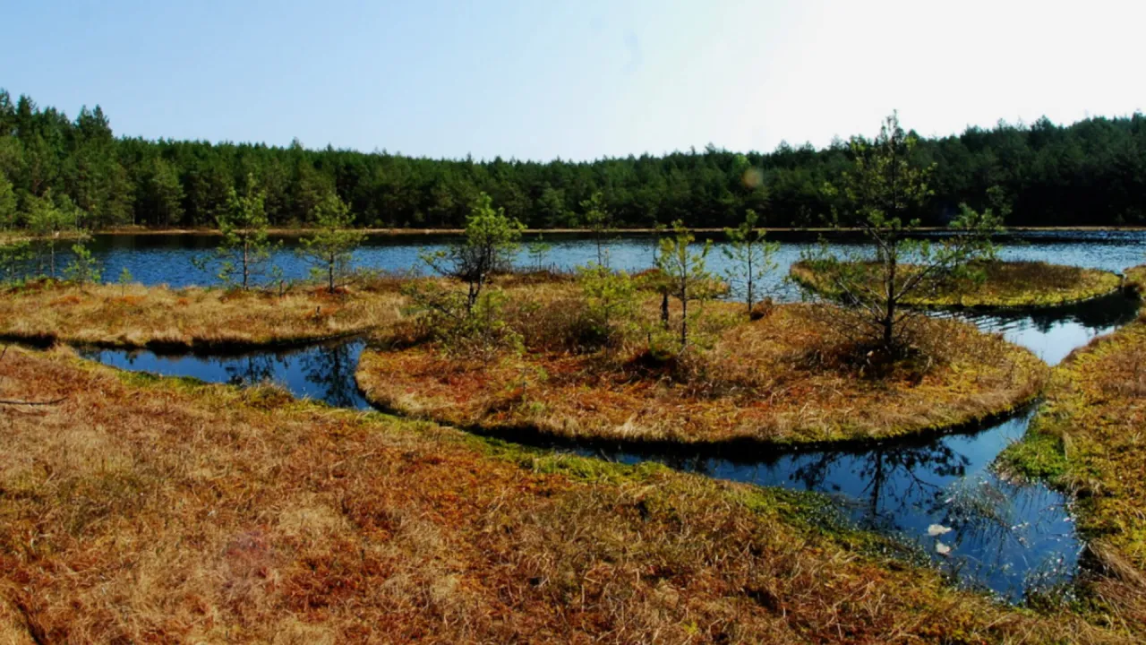 Zdjęcie Jezioro Rogowskie: Cud natury z atrakcjami dla każdego odwiedzającego