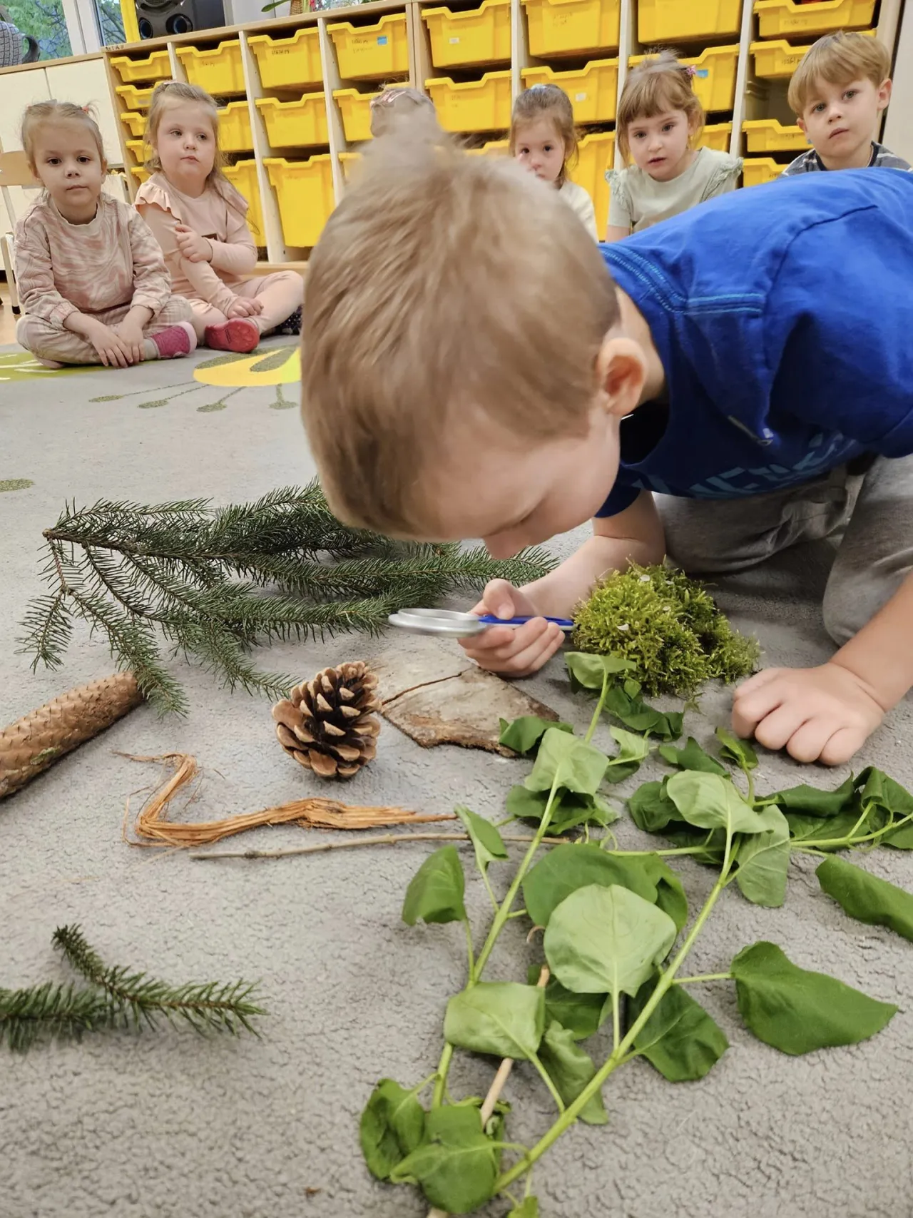 Zdjęcie Leśna ścieżka sensoryczna: jak wspiera rozwój dzieci w naturze
