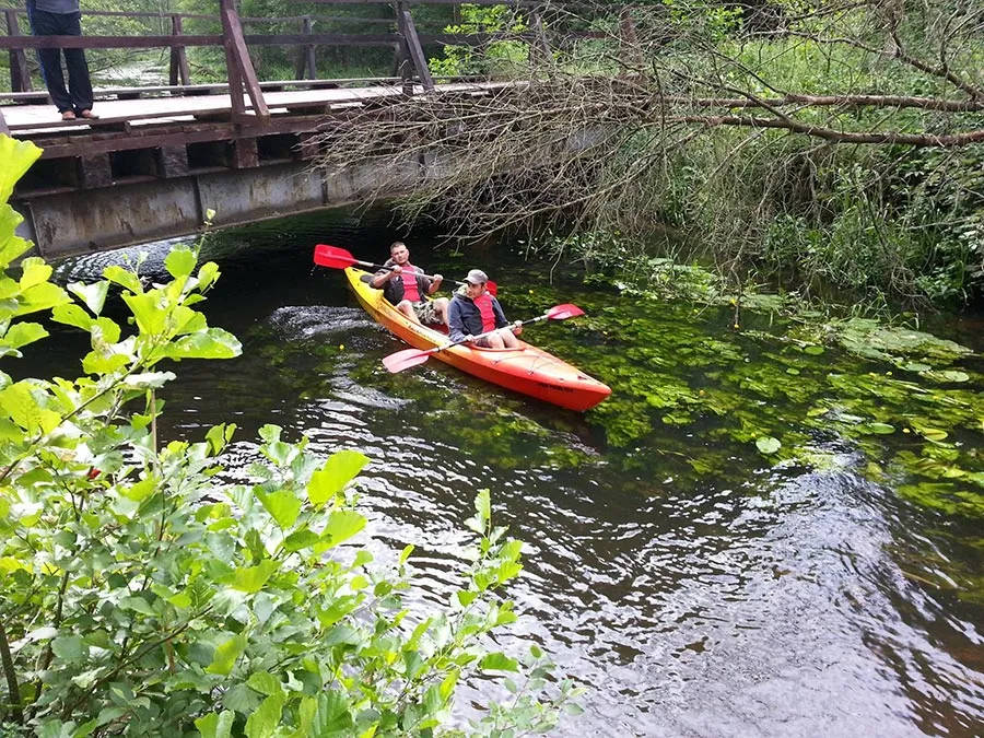 Zdjęcie Spływy kajakowe Lubuskie: Trasy, wypożyczalnie i porady