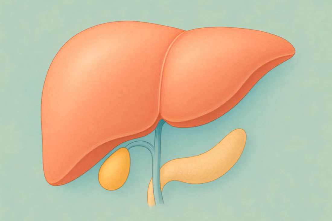 Zdjęcie Leberzirrhose Symptome: Warnsignale, die Sie nicht ignorieren sollten