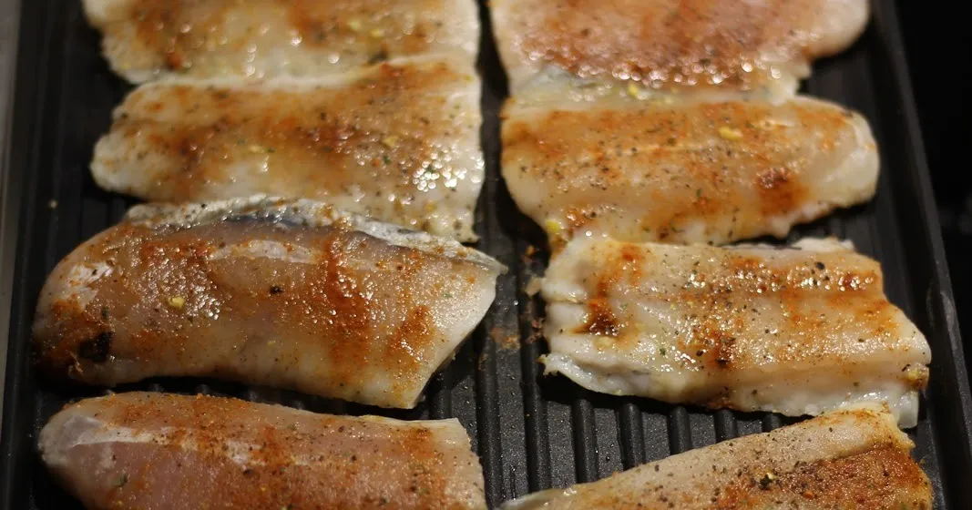 Zdjęcie Jak grillować rybę na grillu elektrycznym, aby uniknąć błędów?