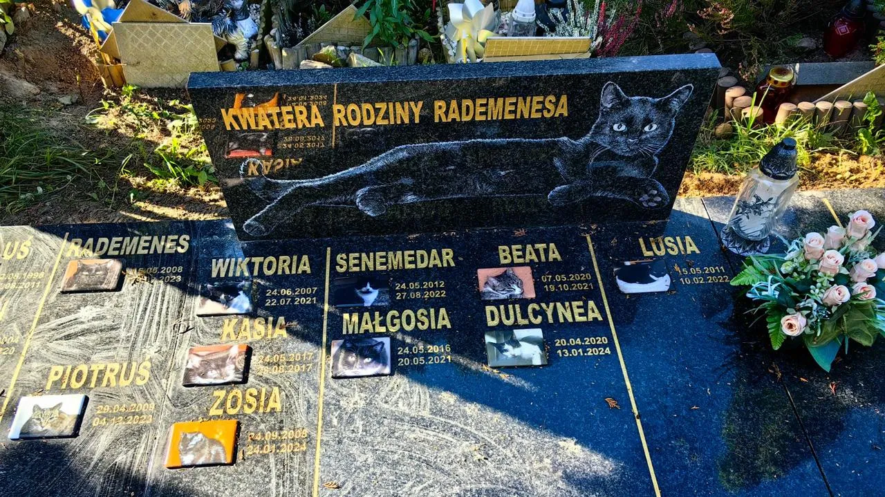 Zdjęcie Gdzie jest cmentarz dla zwierząt? Znajdź idealne miejsce na pochówek