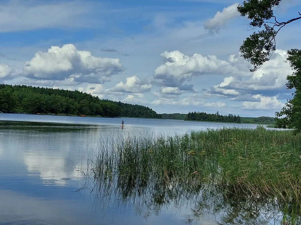 Zdjęcie Jezioro Borzechowskie Wielkie - idealne miejsce na relaks i przygodę