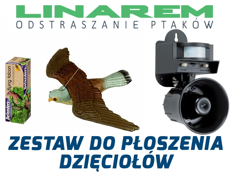 Zdjęcie Skuteczne metody odstraszania dzięciołów z elewacji - poradnik