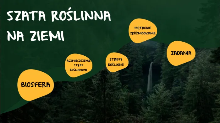 Zdjęcie Jak zmieniła się szata roślinna i co to oznacza dla przyszłości?